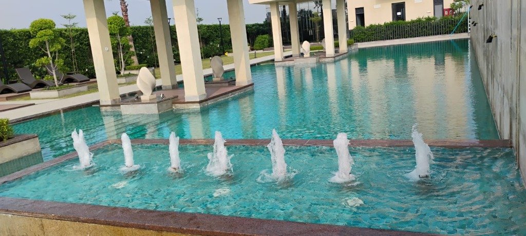 Pool Maintenance and Cleaning